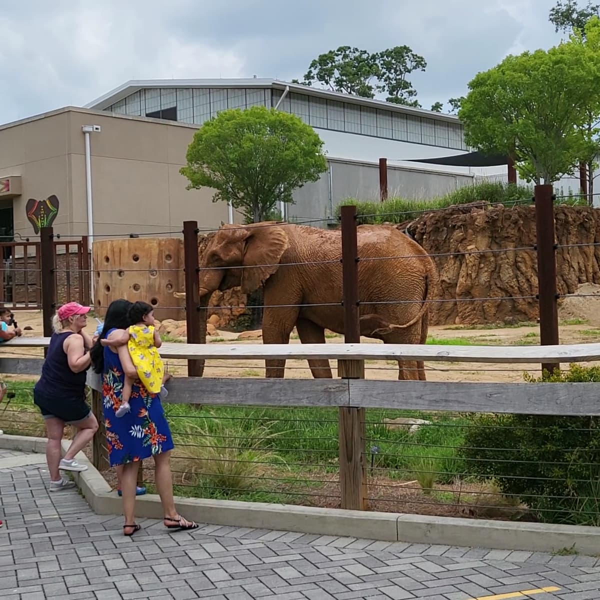 Zoo Atlanta