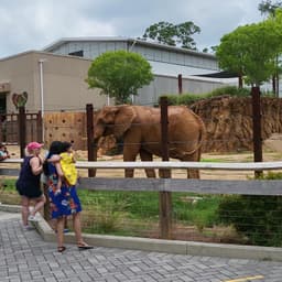 Zoo Atlanta
