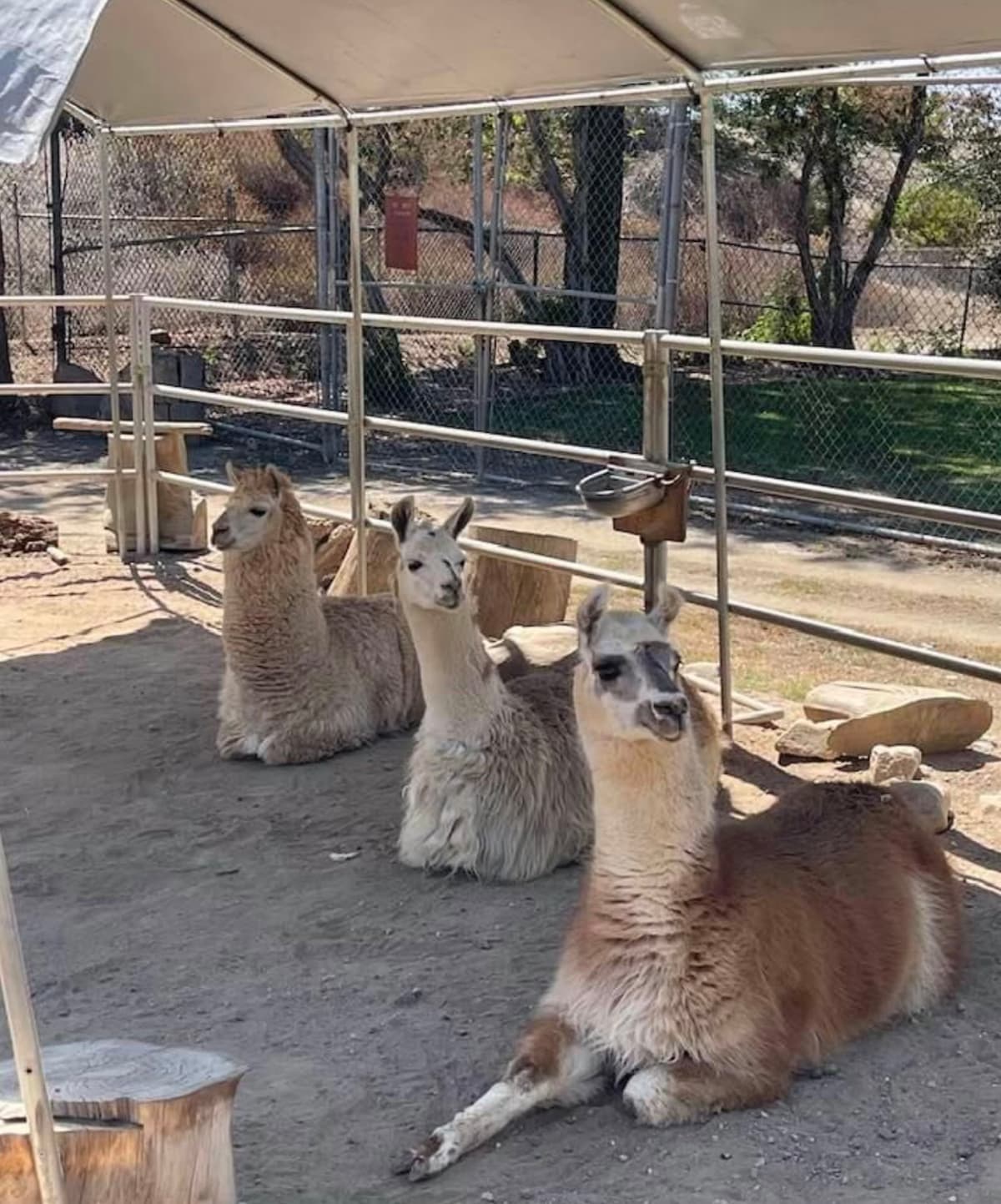 Montebello Barnyard Zoo
