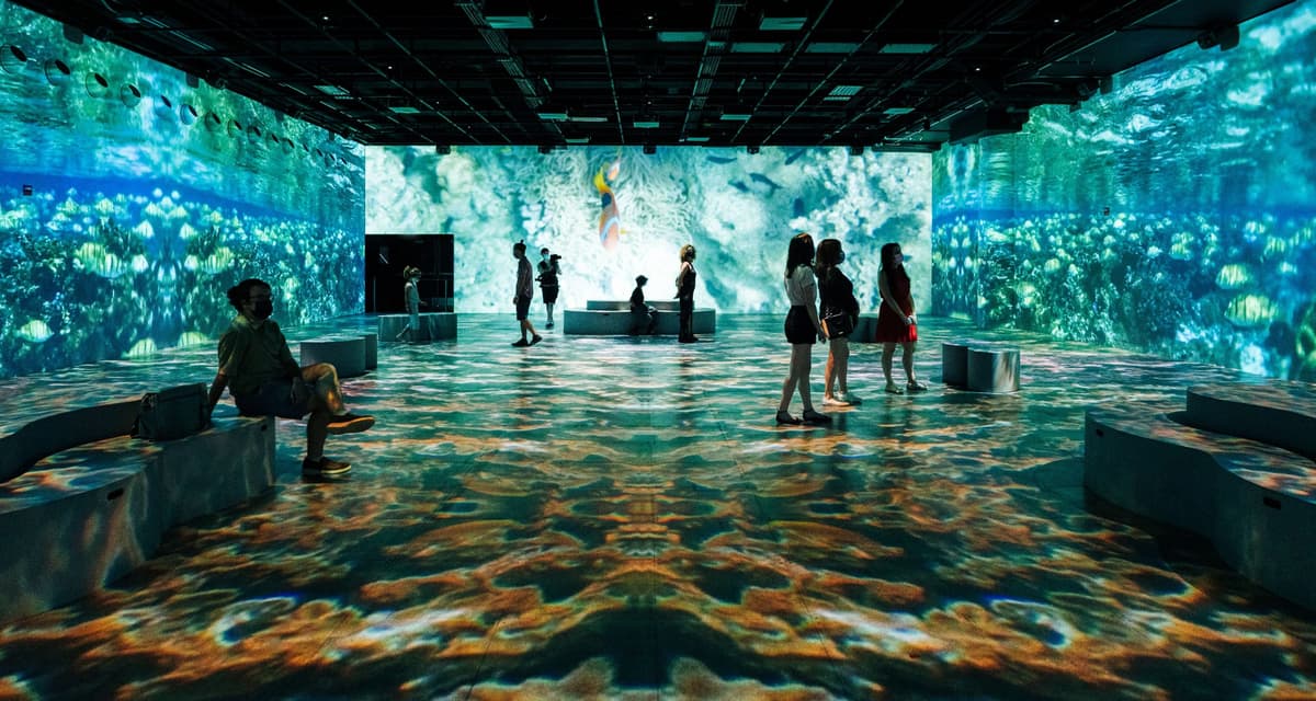 OASIS immersion, photo 1 of 6
