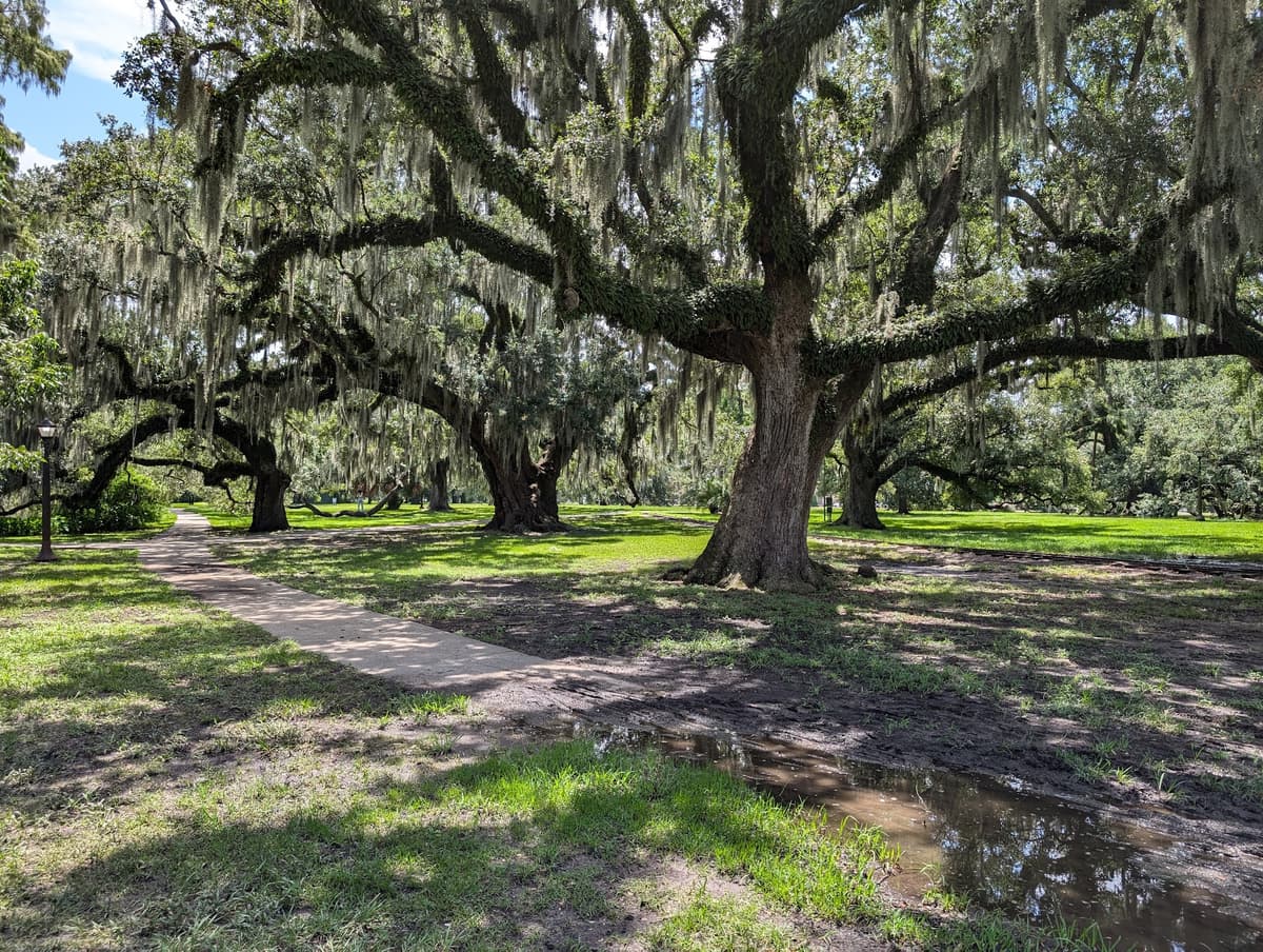 New Orleans City Park