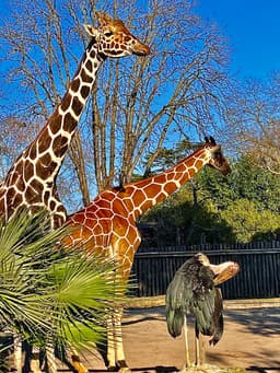 Bioparco di Roma