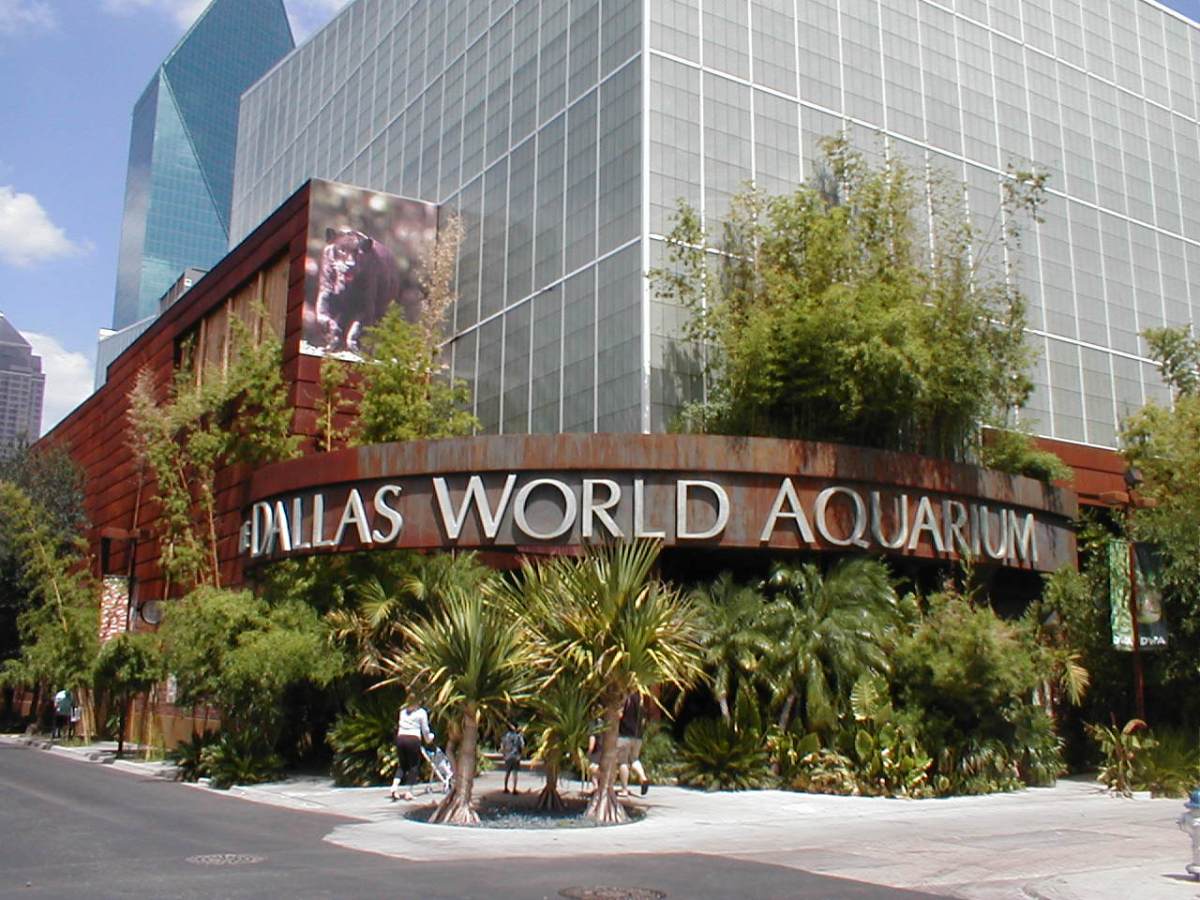 The Dallas World Aquarium — photo 1 of 2