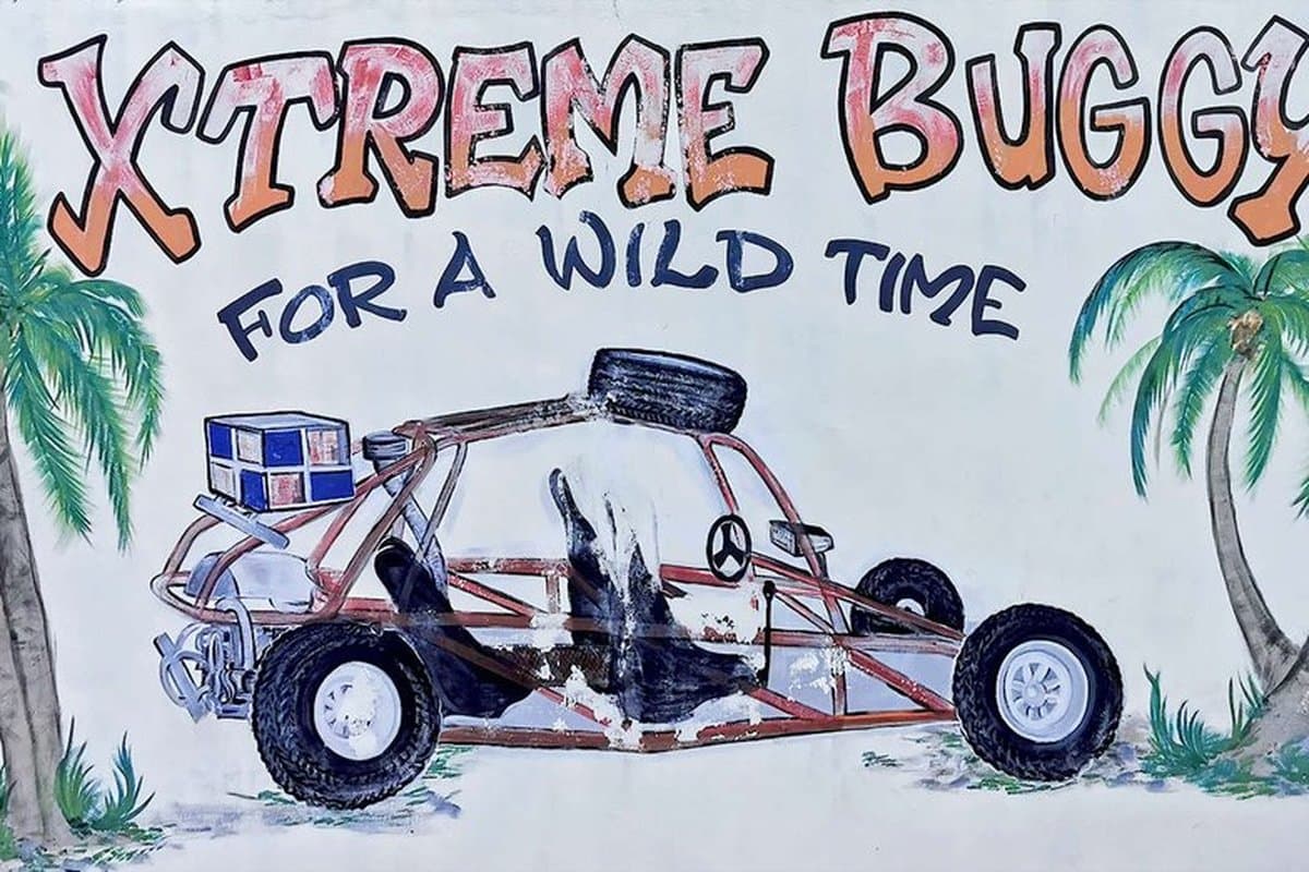 Xtreme-Buggy