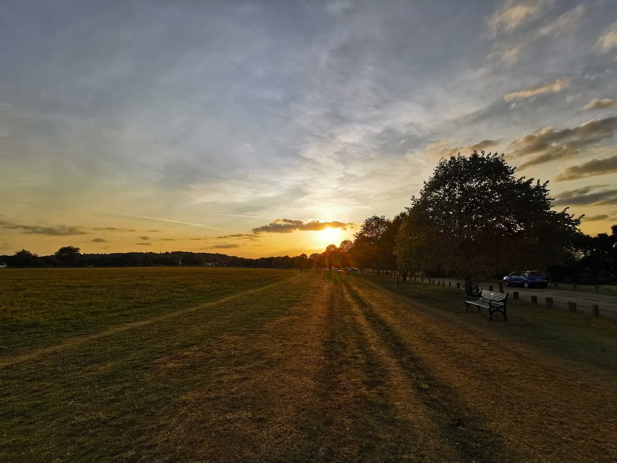 Winn's Common, photo 1 of 1