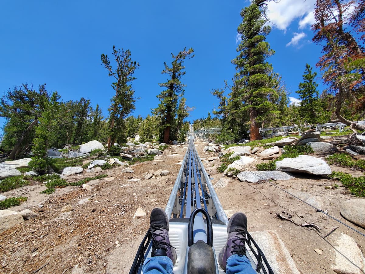 Ridge Rider Mountain Coaster