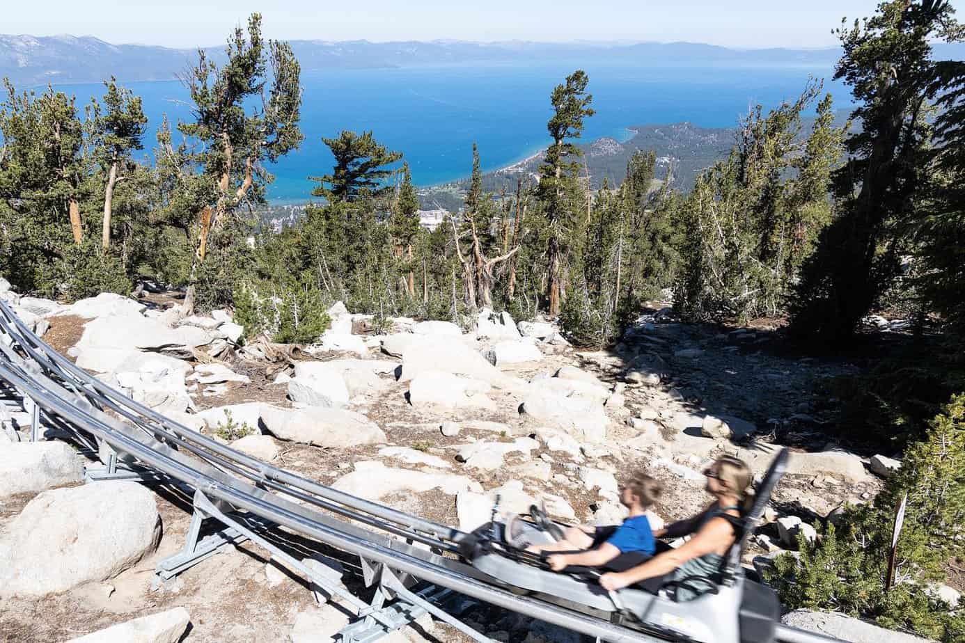 Ridge Rider Mountain Coaster