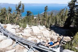 Ridge Rider Mountain Coaster
