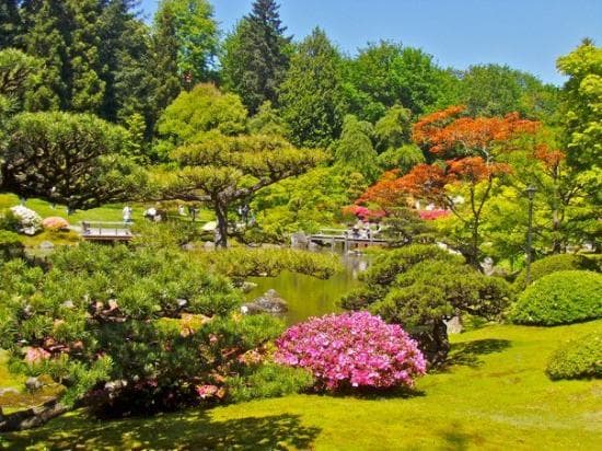 Pacific Connections Gardens at Washington Park Arboretum