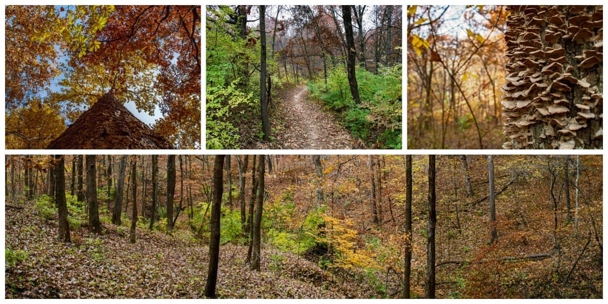 Hidden Valley Park, photo 1 of 6