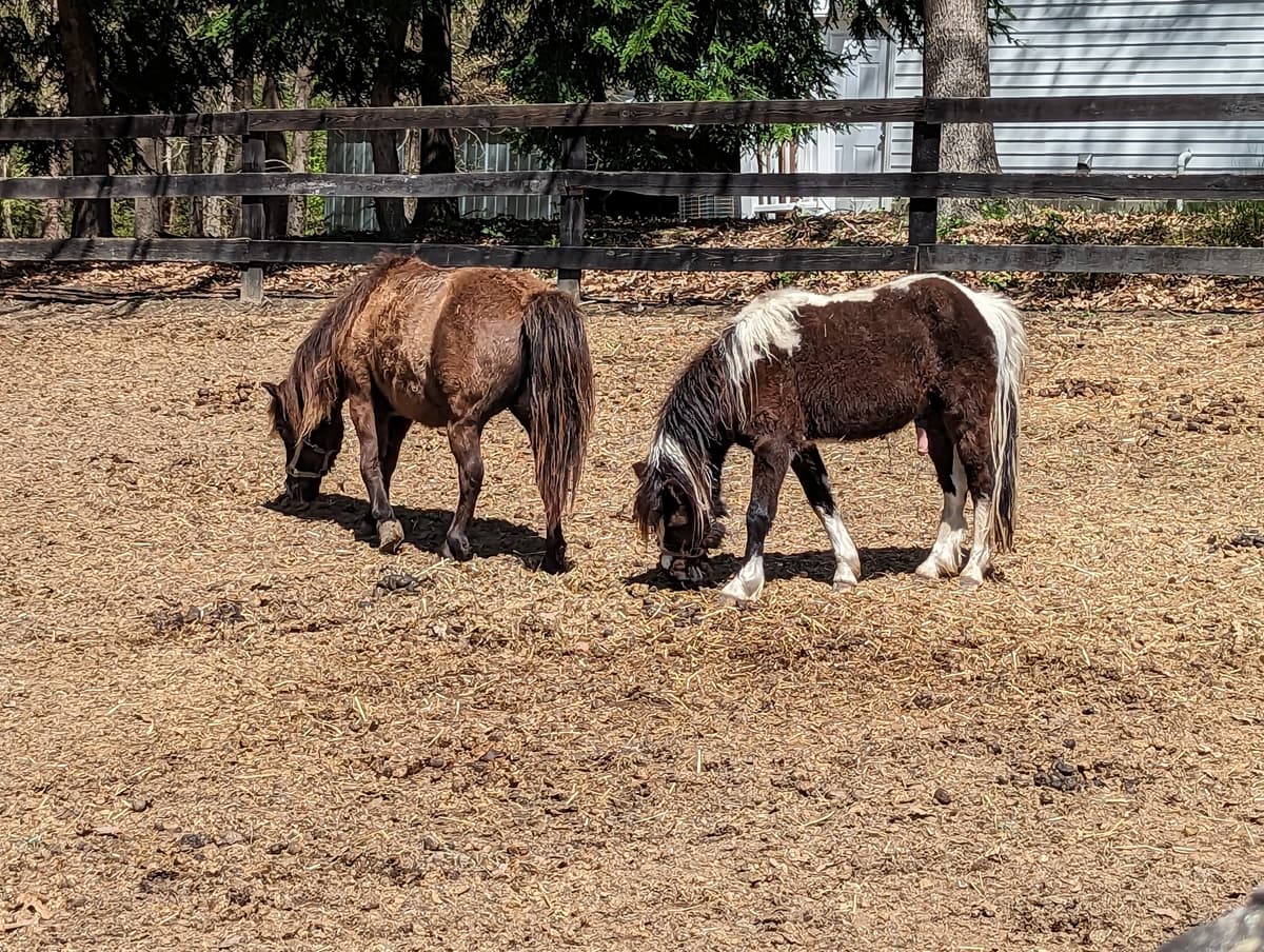 Bel Laurel Farm