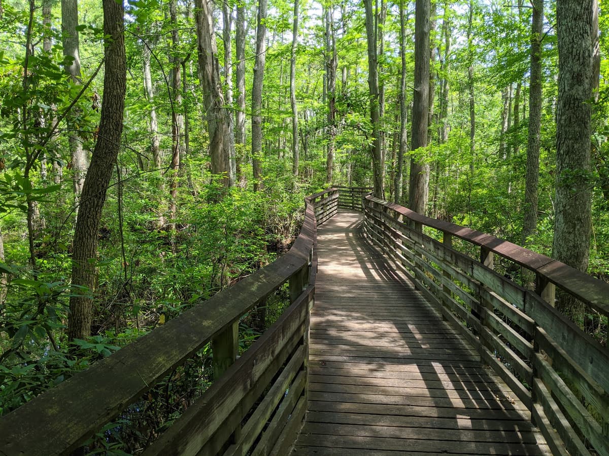 First Landing State Park