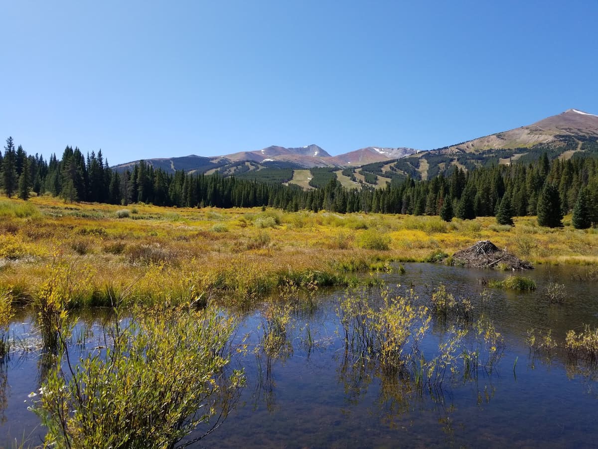 Cucumber Gulch Wildlife Preserve
