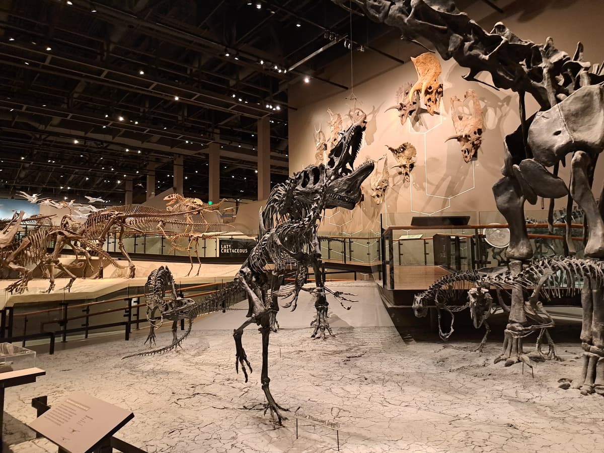 Natural History Museum of Utah