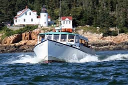 Island Cruises