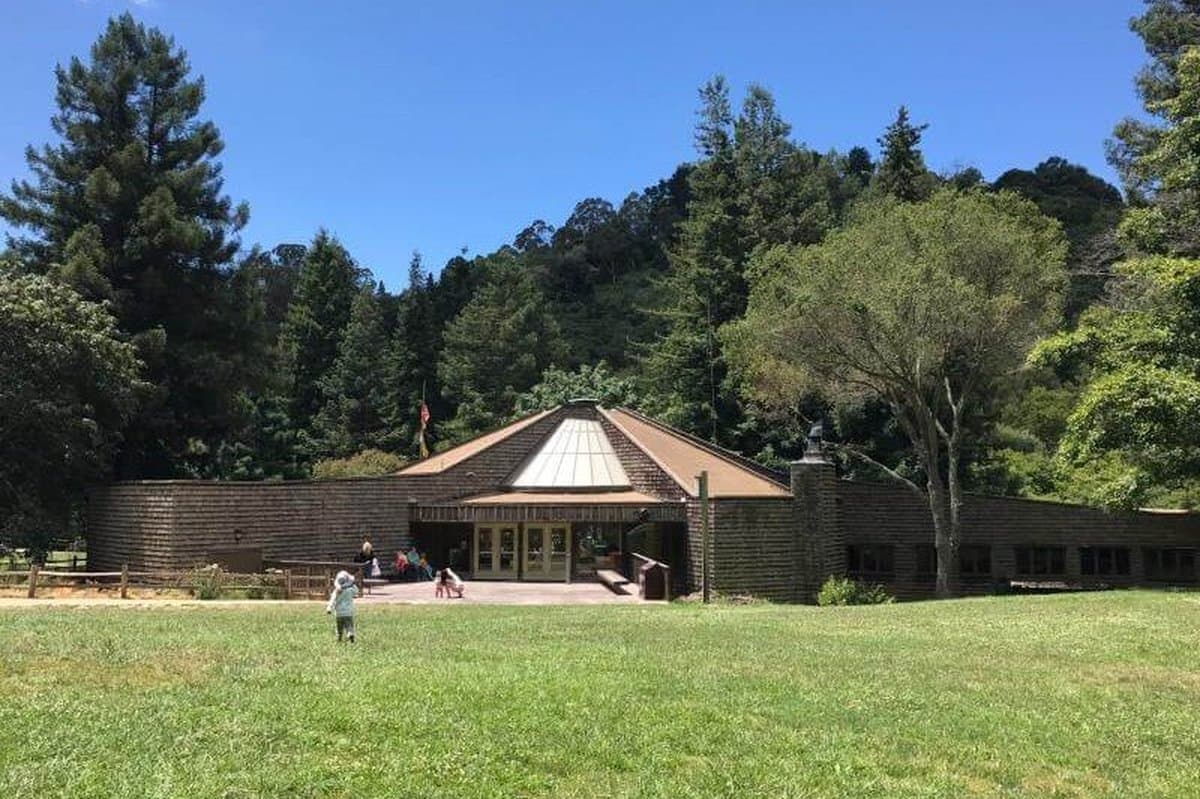 Tilden Nature Area