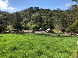 Tilden Nature Area