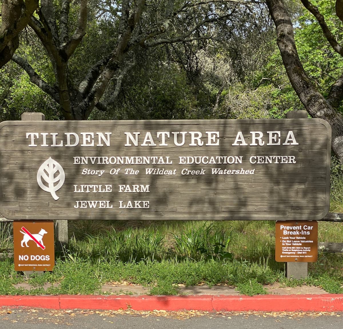 Tilden Nature Area