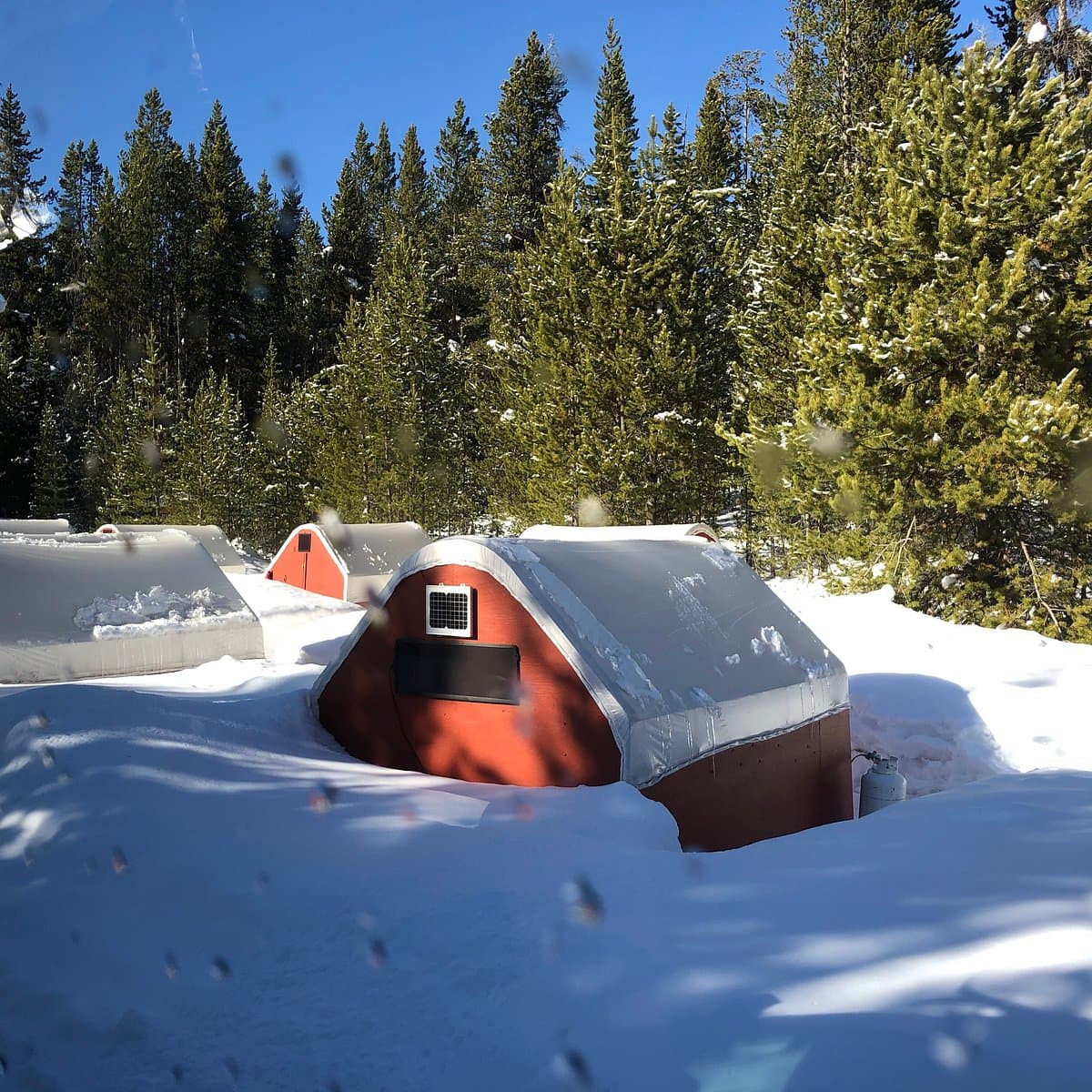 Yellowstone Expeditions