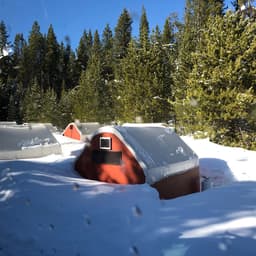 Yellowstone Expeditions