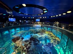 New England Aquarium