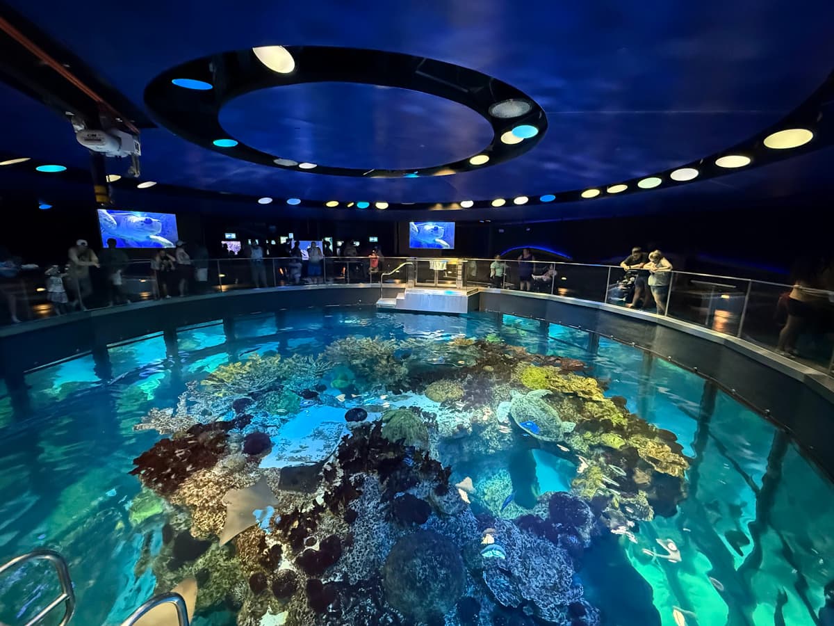 New England Aquarium