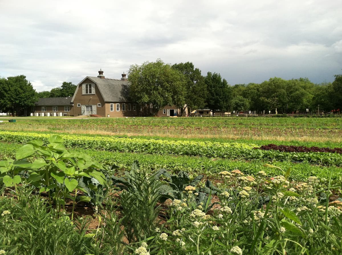 Queens County Farm Museum