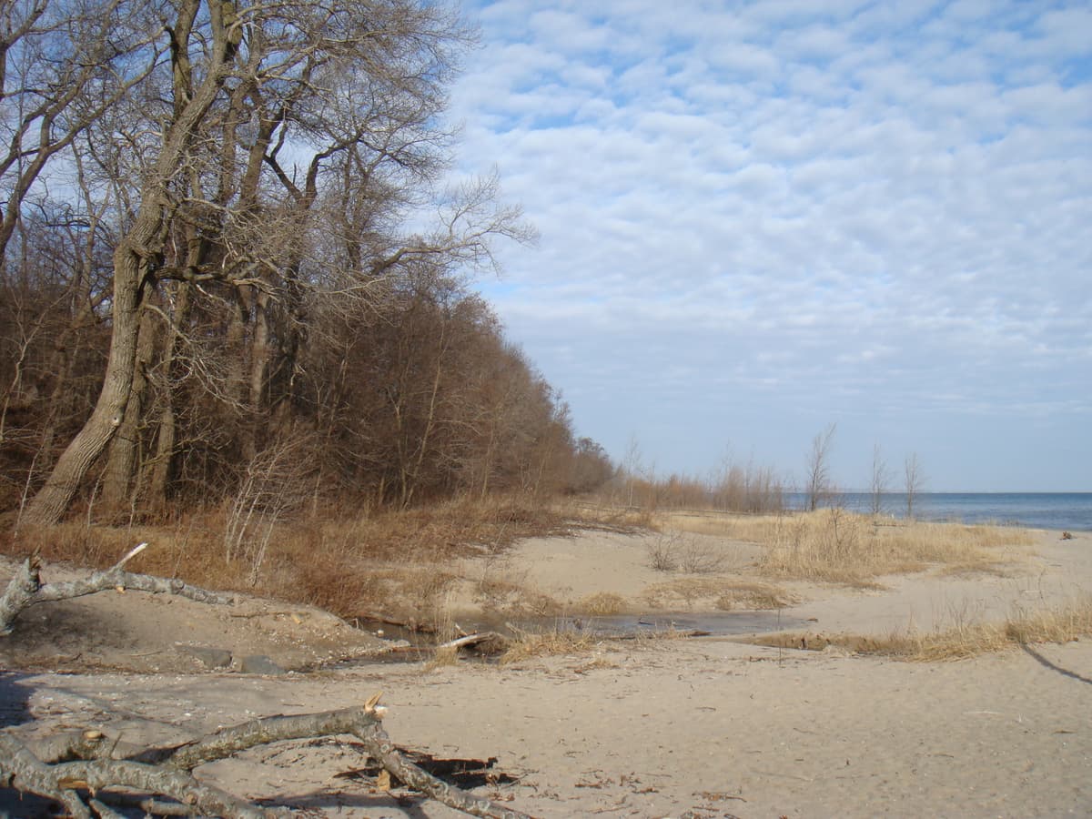 Doctor's Park