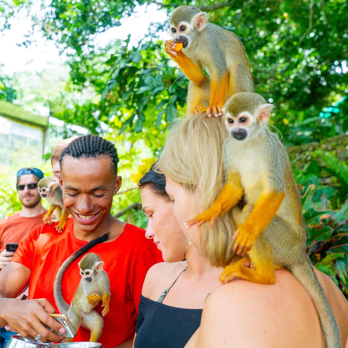 What Families Actually Spend in Punta Cana: Real Activity Costs