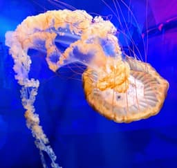 North Carolina Aquarium on Roanoke Island