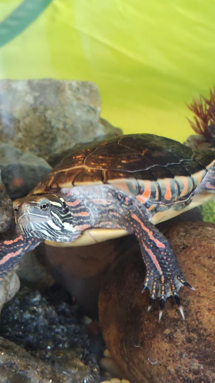 Nature Center at The Summit, photo 1 of 1