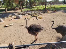 Wildlife World Zoo, Aquarium & Safari Park
