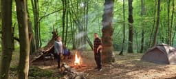 Desert Island Survival