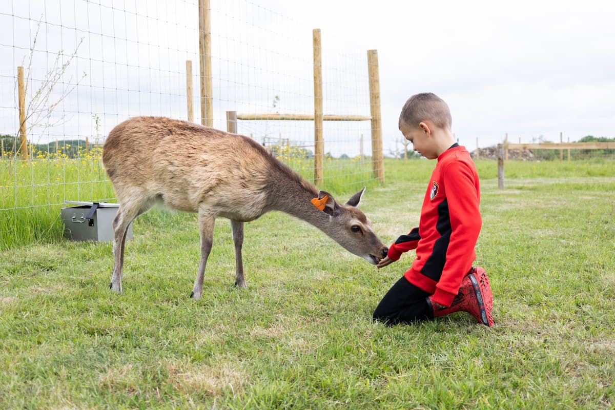 Hogshaw Farm & Wildlife Park, photo 1 of 1