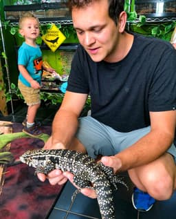 Lizards for Kids and More