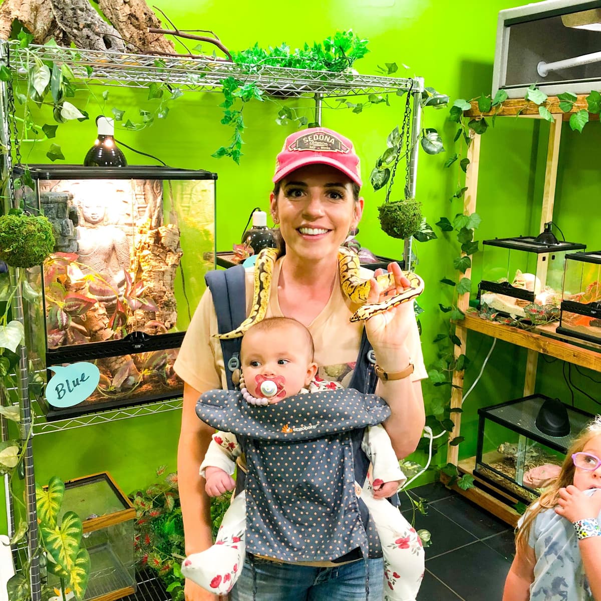 Lizards for Kids and More