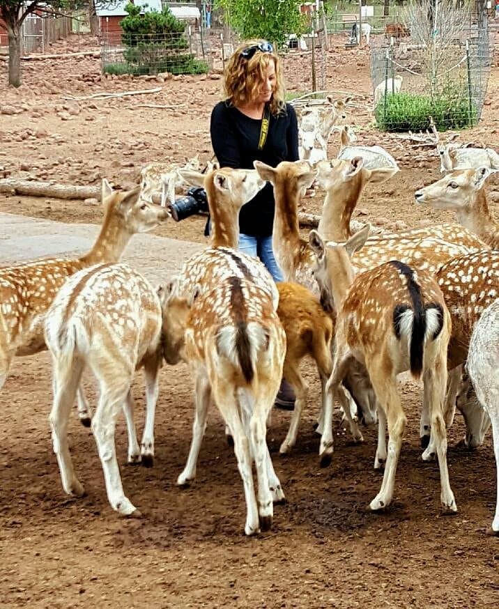 Grand Canyon Deer Farm — photo 1 of 6