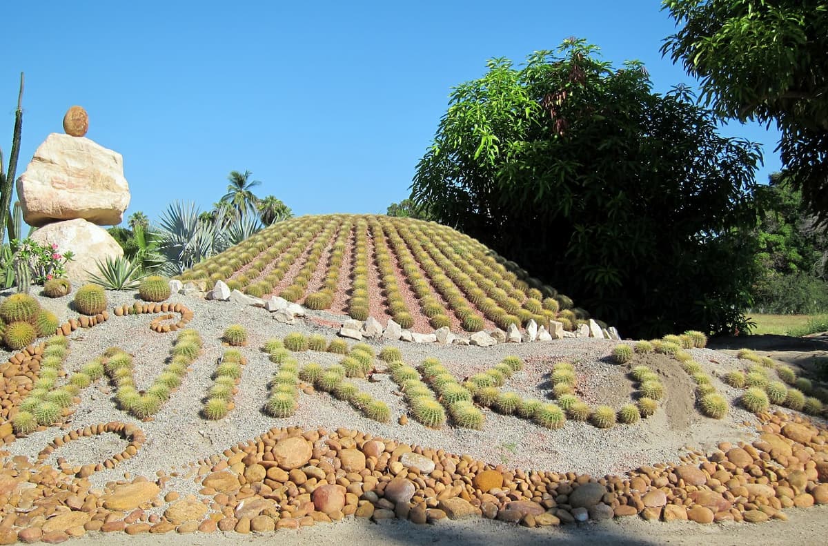 Wirikuta Desert Botanical Garden