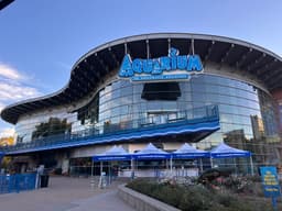 Downtown Aquarium