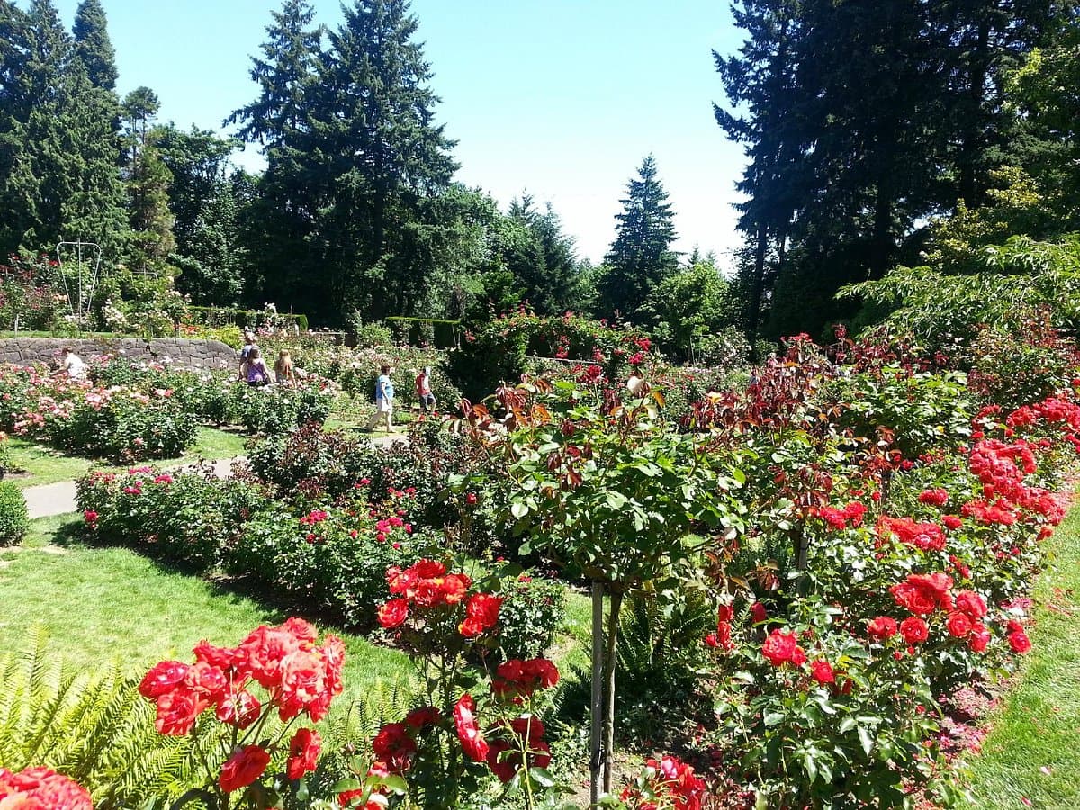 Washington Park