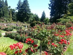 Washington Park
