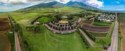 Maui Tropical Plantation