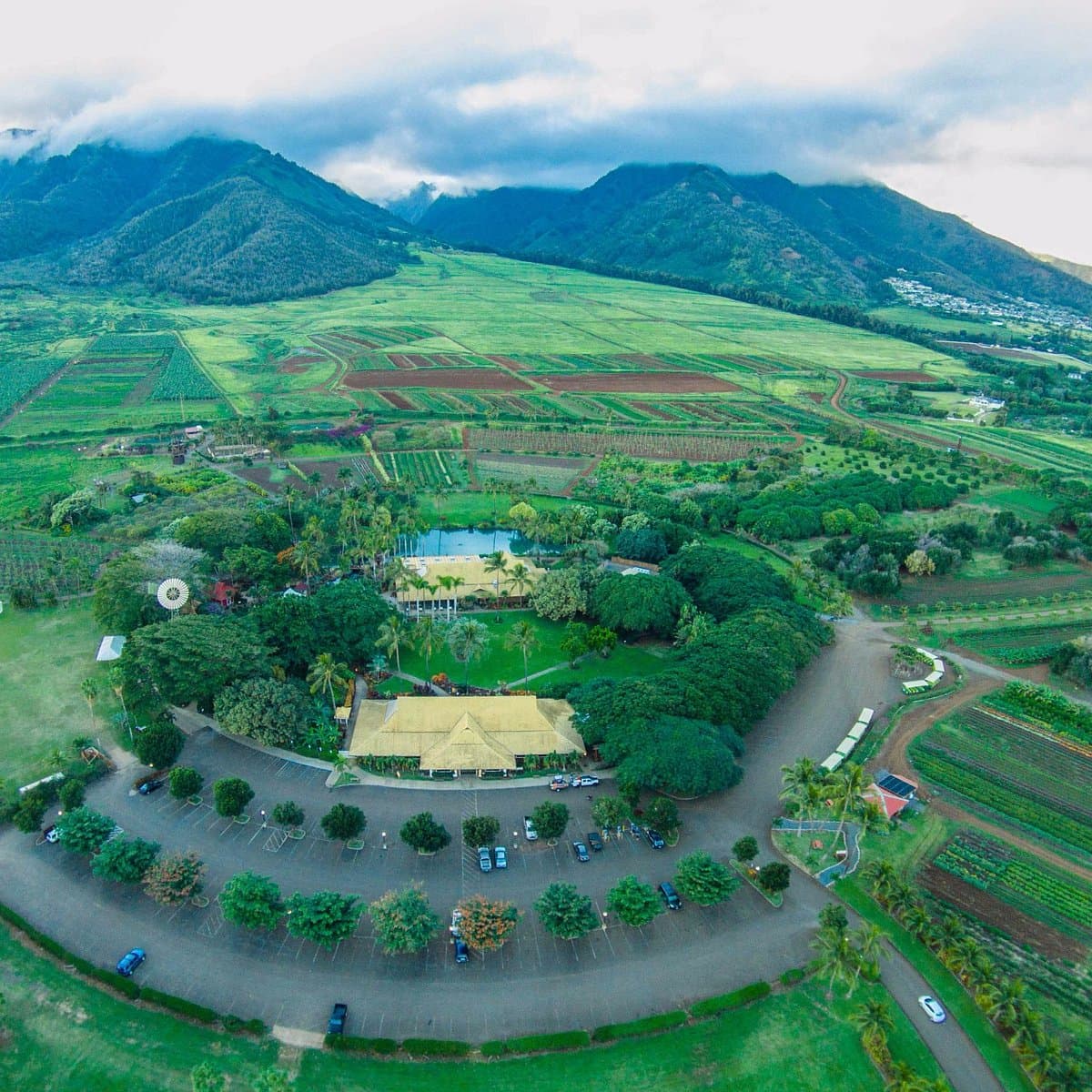 Maui Tropical Plantation, photo 1 of 2