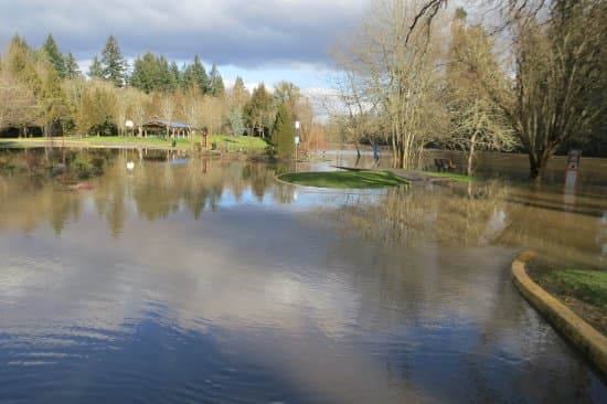 Cook Family Park