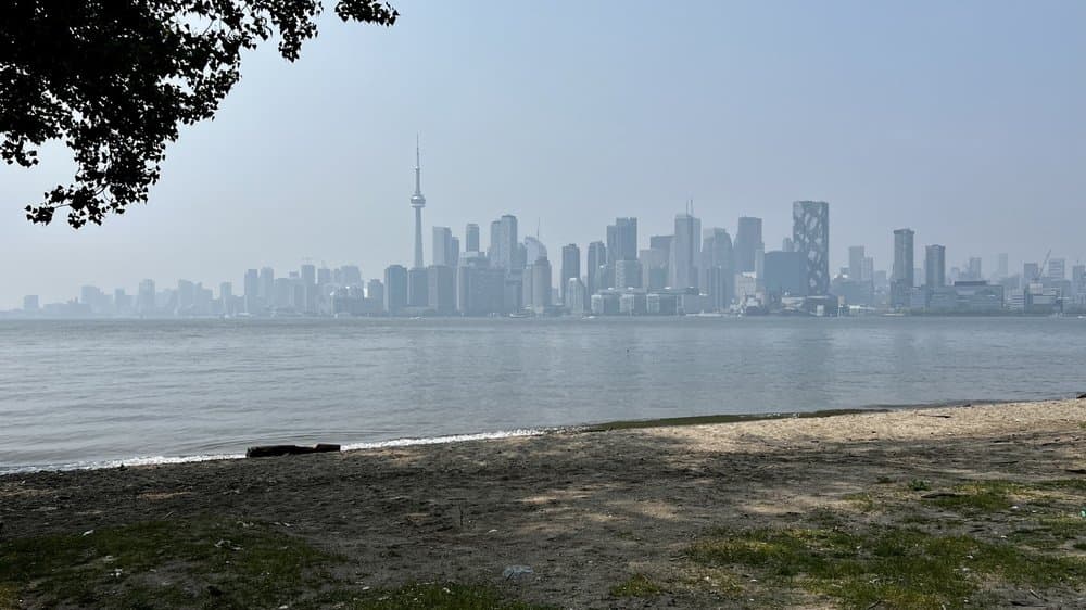 Toronto Island Park - Olympic Island