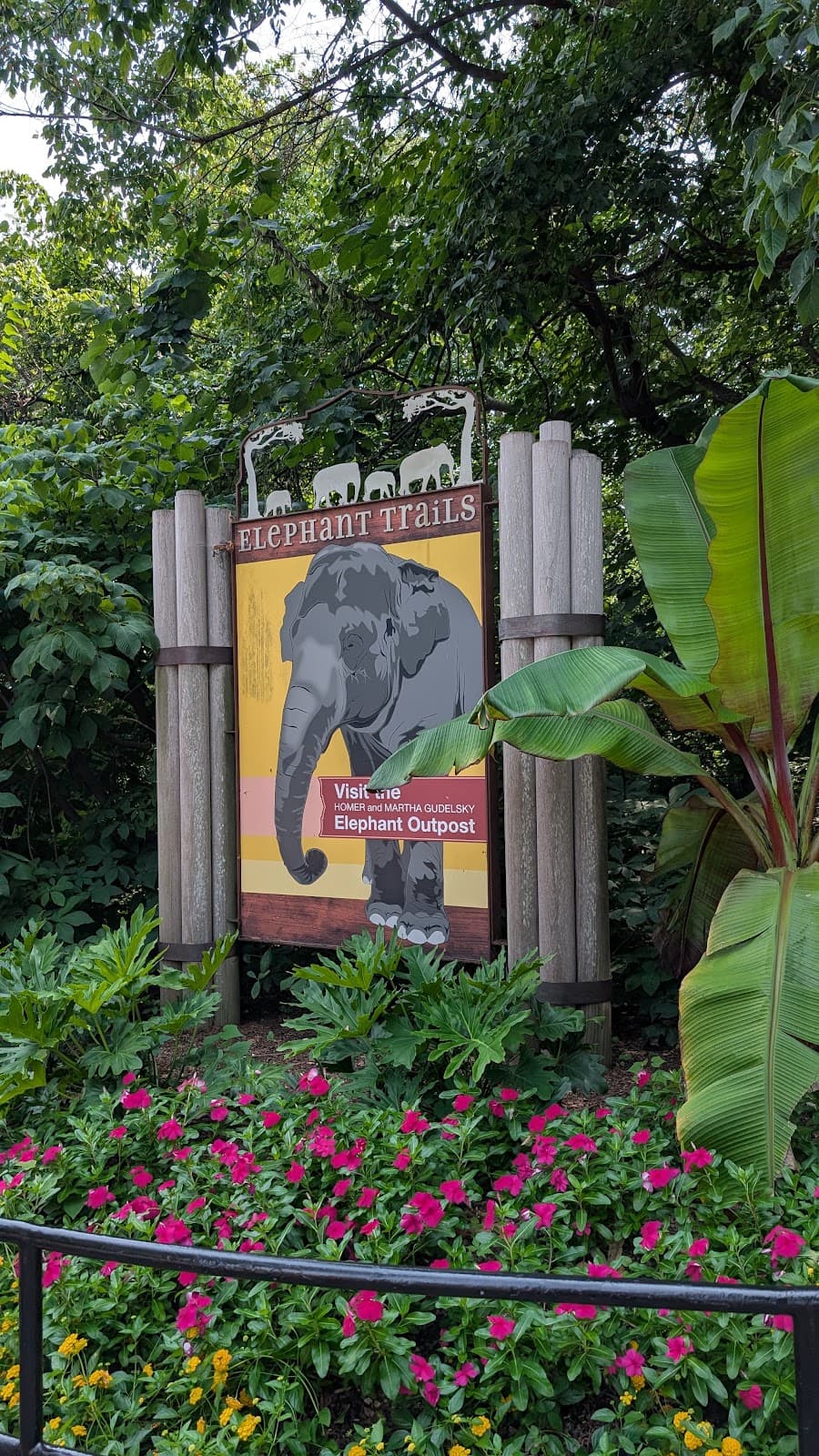 Elephant Trails