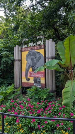Elephant Trails
