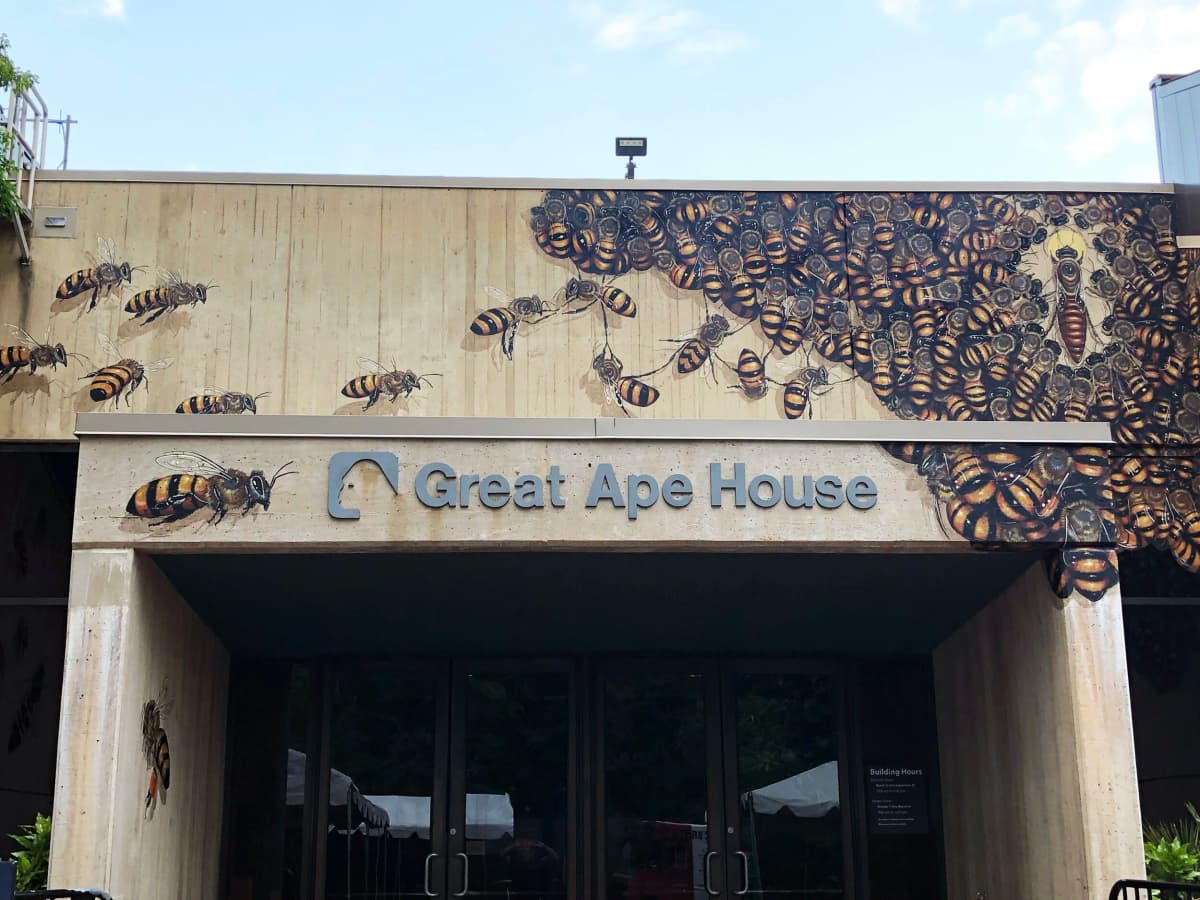 Great Ape House, photo 1 of 2