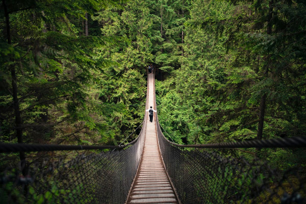 Lynn Canyon Suspension Bridge