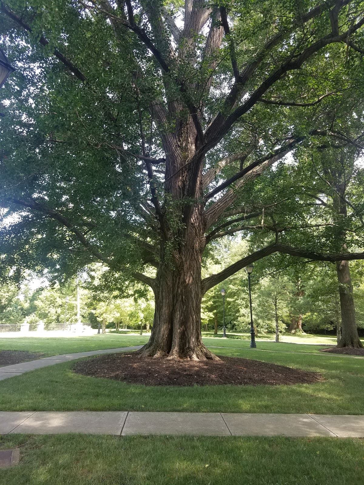 Fleischmann Garden